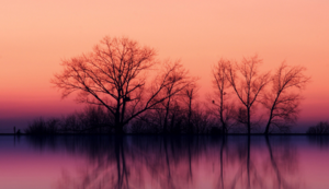 泳坛巨星：速度之王，刷新纪录，再铸辉煌