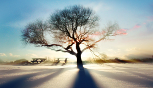 巅峰对决，热血铸就传奇——全力以赴，为胜利而生