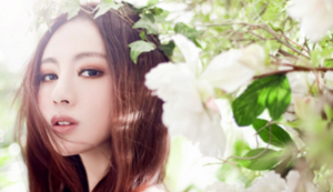 泳坛巨星：速度之王，刷新纪录，再铸辉煌